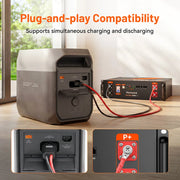 WattLINK - EcoFlow Delta 2/3 Series PPS Extra Battery Cable (M8 to XT150 Port)