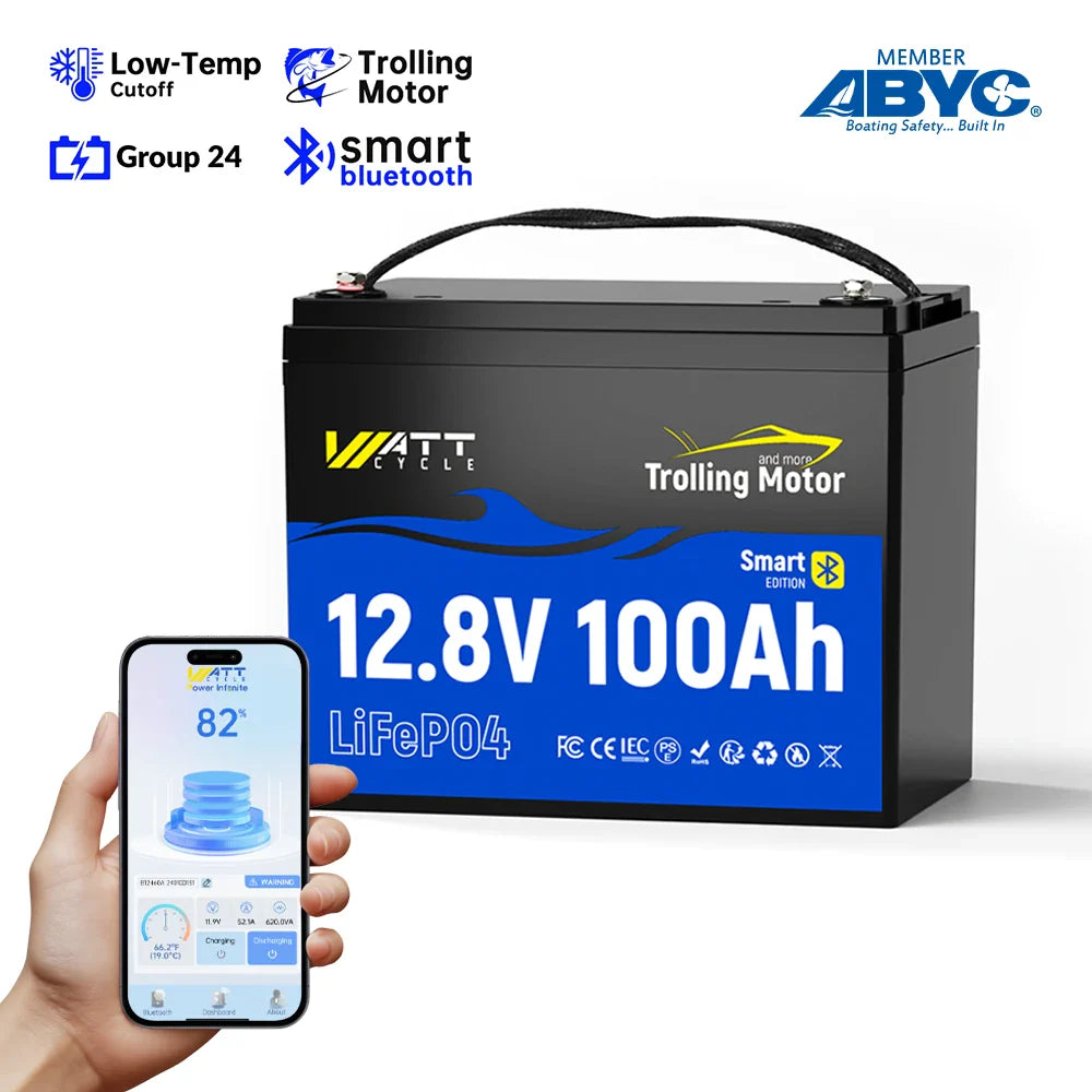 Wattcycle 12V 100Ah LiFePO4 Battery