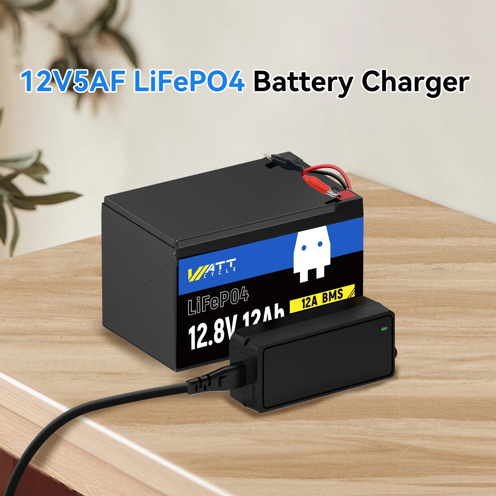 Wattcycle 14.6V 5A Plastic Shell LiFePO4 Battery Charger